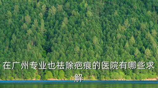 在廣州專業(yè)也祛除疤痕的醫(yī)院有哪些求解