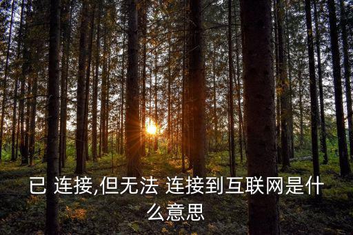 已 連接,但無法 連接到互聯網是什么意思