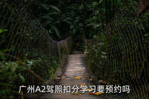 廣州車管所繳納罰款需要預約嗎，我開車在廣州違章了可以在網上交費罰款嗎