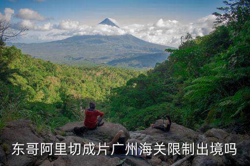 東哥阿里切成片廣州海關限制出境嗎
