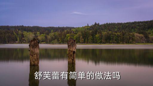  舒芙蕾有簡單的做法嗎