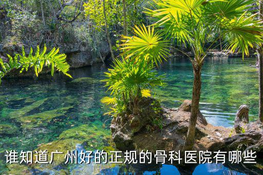 誰知道廣州好的正規(guī)的骨科醫(yī)院有哪些