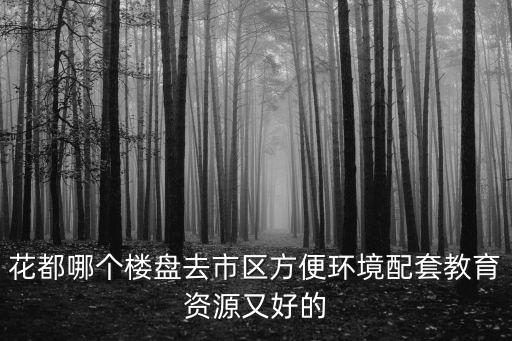 花都哪個樓盤去市區方便環境配套教育資源又好的