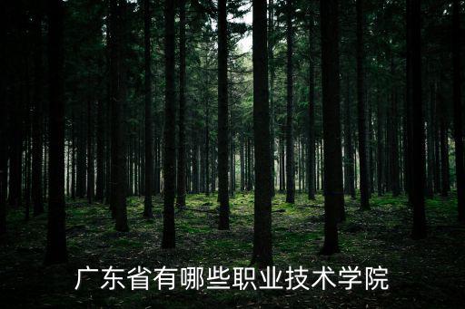 廣州的那些職業(yè)技術(shù)院，廣州有哪幾個技術(shù)學校