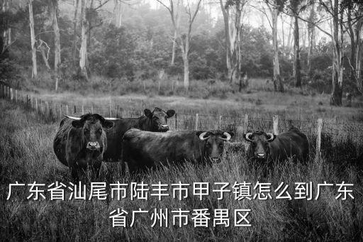 廣東省汕尾市陸豐市甲子鎮怎么到廣東省廣州市番禺區
