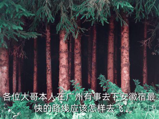 各位大哥本人在廣州有事去下安徽宿最快的路線應(yīng)該怎樣去飛