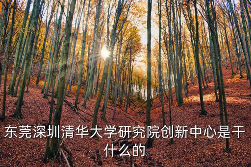 東莞深圳清華大學研究院創新中心是干什么的