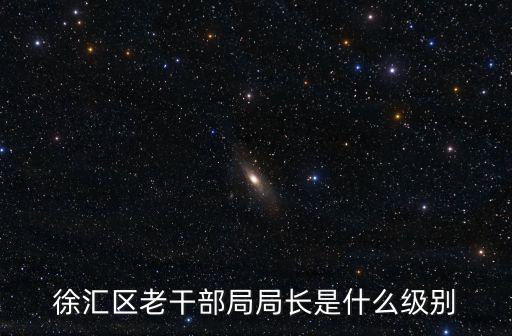 徐匯區老干部局局長是什么級別