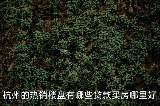 杭州的熱銷樓盤有哪些貸款買房哪里好