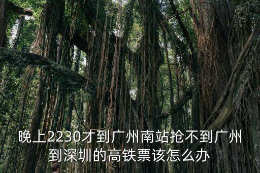 晚上2230才到廣州南站搶不到廣州到深圳的高鐵票該怎么辦