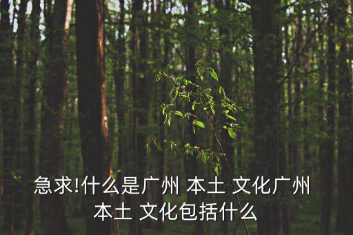 急求!什么是廣州 本土 文化廣州 本土 文化包括什么