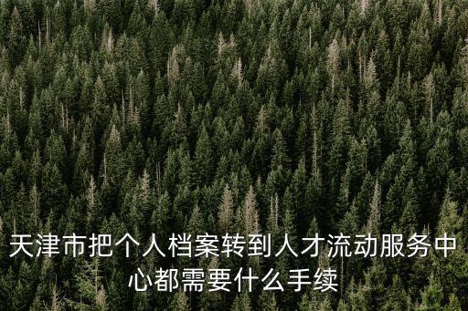 天津市把個人檔案轉(zhuǎn)到人才流動服務中心都需要什么手續(xù)
