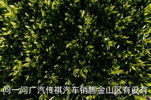 問一問廣汽傳祺汽車銷售金山區有沒有