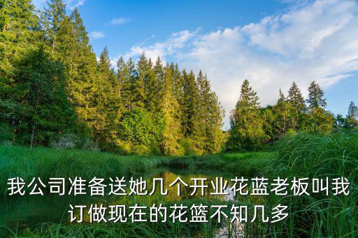 我公司準備送她幾個開業(yè)花藍老板叫我訂做現(xiàn)在的花籃不知幾多