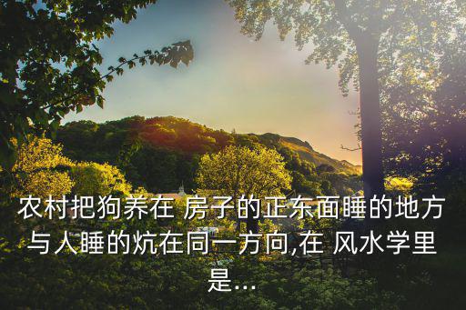 農村把狗養(yǎng)在 房子的正東面睡的地方與人睡的炕在同一方向,在 風水學里是...