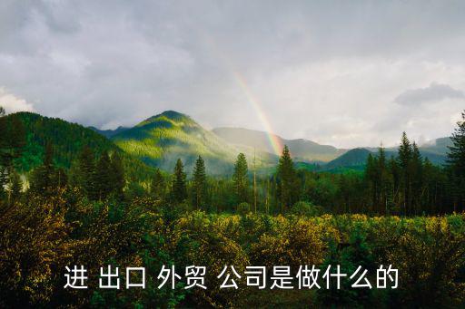進 出口 外貿 公司是做什么的