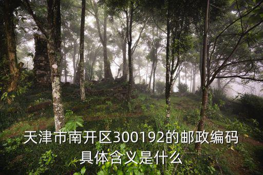 天津市南開區300192的郵政編碼具體含義是什么