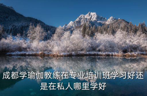 成都學瑜伽教練在專業培訓班學習好還是在私人哪里學好