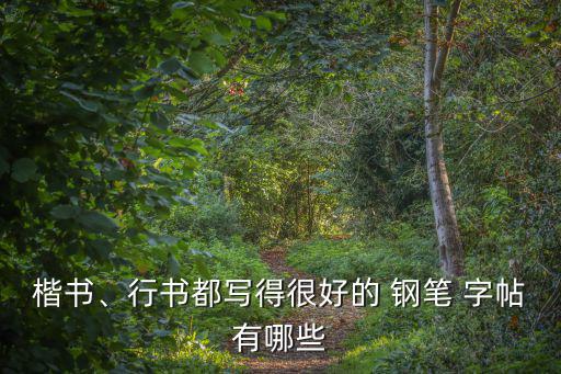 楷書、行書都寫得很好的 鋼筆 字帖有哪些