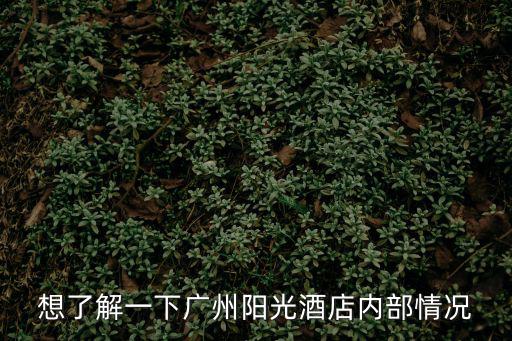想了解一下廣州陽光酒店內部情況
