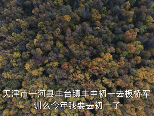 天津市寧河縣豐臺鎮豐中初一去板橋軍訓么今年我要去初一了