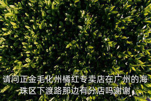 請問正金毛化州橘紅專賣店在廣州的海珠區下渡路那邊有分店嗎謝謝