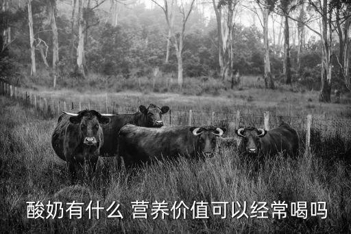  酸奶有什么 營養(yǎng)價(jià)值可以經(jīng)常喝嗎