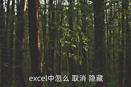  excel中怎么 取消 隱藏