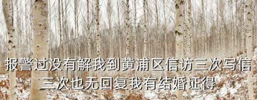 報(bào)警過(guò)沒(méi)有解我到黃浦區(qū)信訪(fǎng)三次寫(xiě)信三次也無(wú)回復(fù)我有結(jié)婚證得