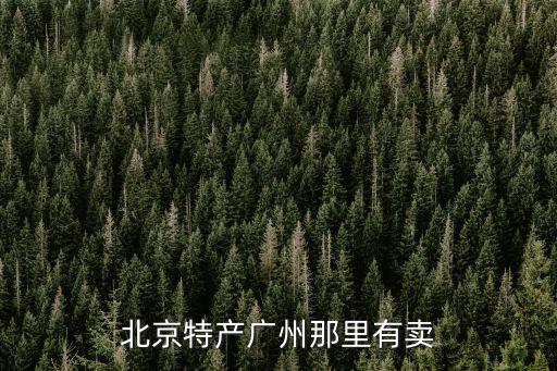 北京特產(chǎn)廣州那里有賣