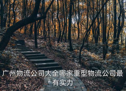 廣州物流公司大全哪家重型物流公司最有實力