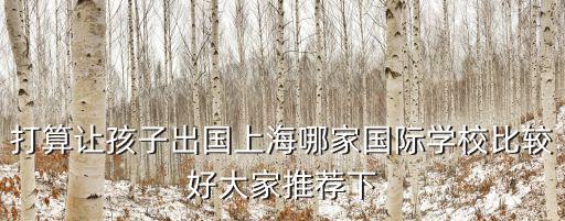 打算讓孩子出國上海哪家國際學校比較好大家推薦下