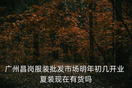 廣州昌崗服裝批發(fā)市場(chǎng)明年初幾開業(yè) 夏裝現(xiàn)在有貨嗎
