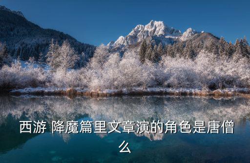  西游 降魔篇里文章演的角色是唐僧么