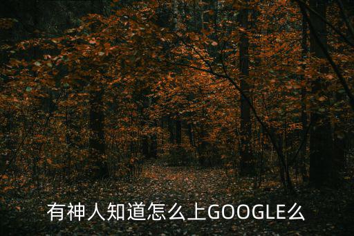 有神人知道怎么上GOOGLE么