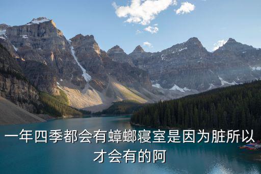 一年四季都會(huì)有蟑螂寢室是因?yàn)榕K所以才會(huì)有的阿