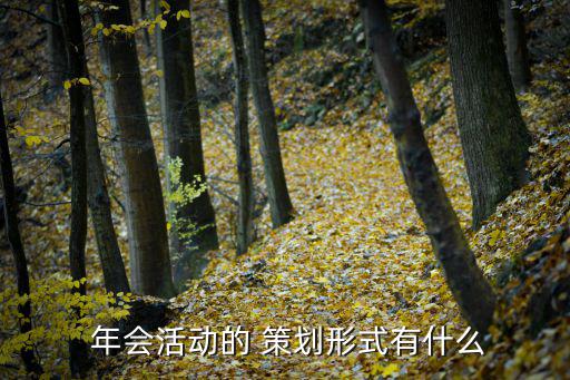 年會策劃,年會active策劃四種形式展現企業文化