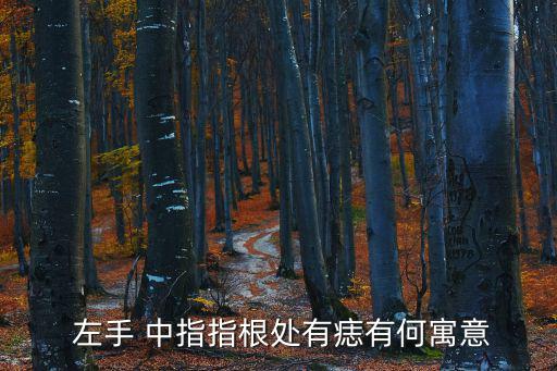  左手 中指指根處有痣有何寓意
