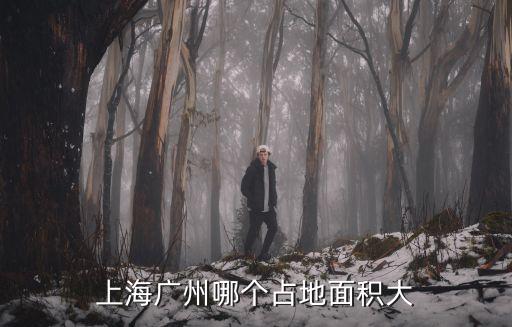 上海廣州哪個(gè)占地面積大