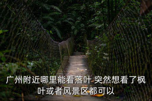 廣州附近哪里能看落葉 突然想看了楓葉或者風(fēng)景區(qū)都可以