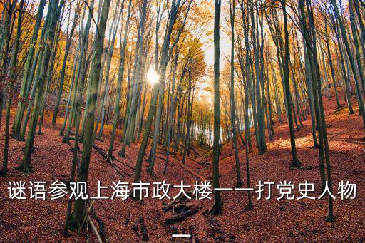 上海市政大樓就是上海市政大廈嗎，上海市地名辦在那里阿