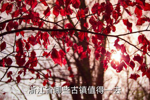 浙江省級經濟開發區政策，浙江省國家級經濟開發區有哪些哪21個
