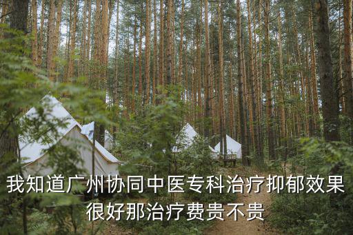 廣州尚一湯，我知道廣州協(xié)同中醫(yī)專科治療抑郁效果很好那治療費(fèi)貴不貴