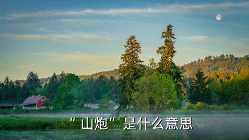 “ 山炮”是什么意思