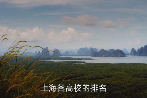 上海國際本科學校排名榜，上海外國語大學本科各專業排名