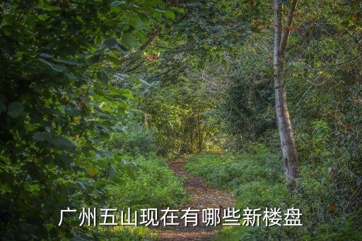 廣州五山現(xiàn)在有哪些新樓盤