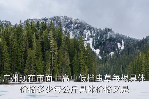 廣州市實地常春藤現在價格，現在廣州1的蠱藤大概多少錢