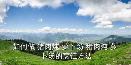 如何做 豬肉燉 蘿卜湯 豬肉燉 蘿卜湯的烹飪方法