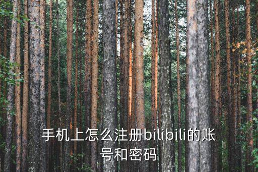 手機(jī)上怎么注冊(cè)bilibili的賬號(hào)和密碼