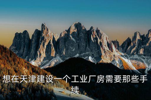 想在天津建設一個工業廠房需要那些手續
